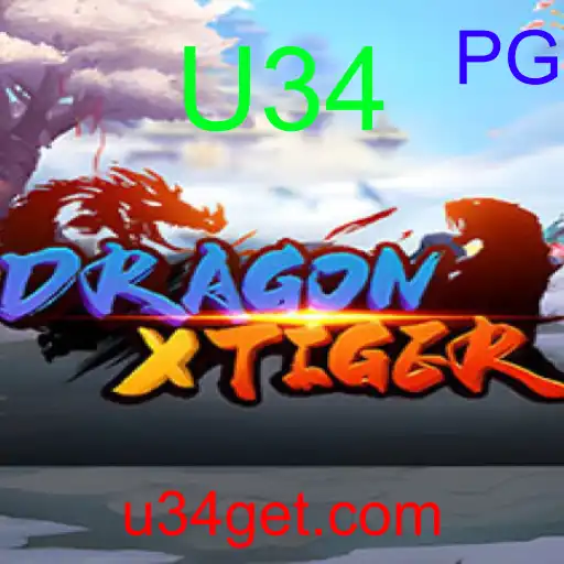 DragonXTiger